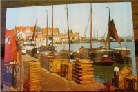 476.jpg